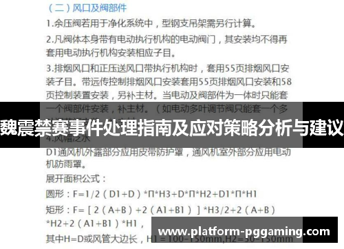魏震禁赛事件处理指南及应对策略分析与建议